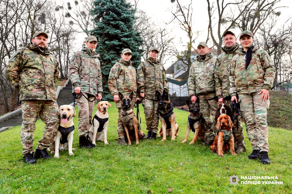 10201 image for slide