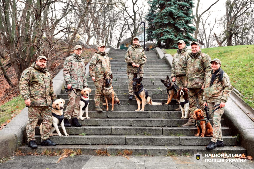 10202 image for slide