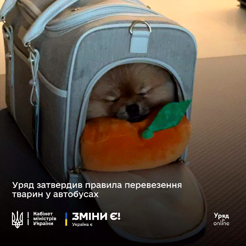 6061 image for slide