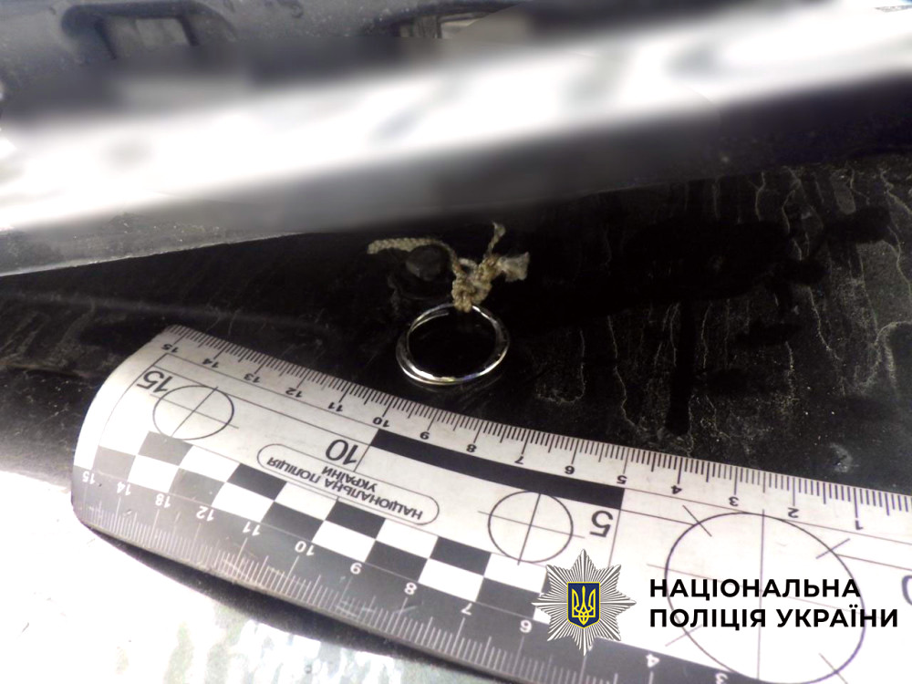 6317 image for slide