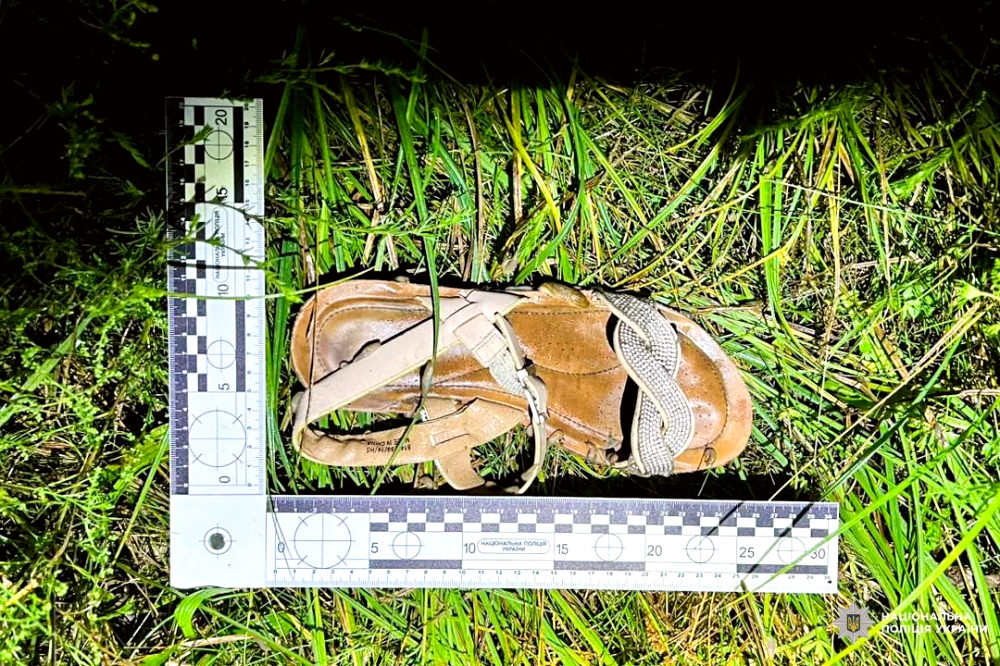 6509 image for slide