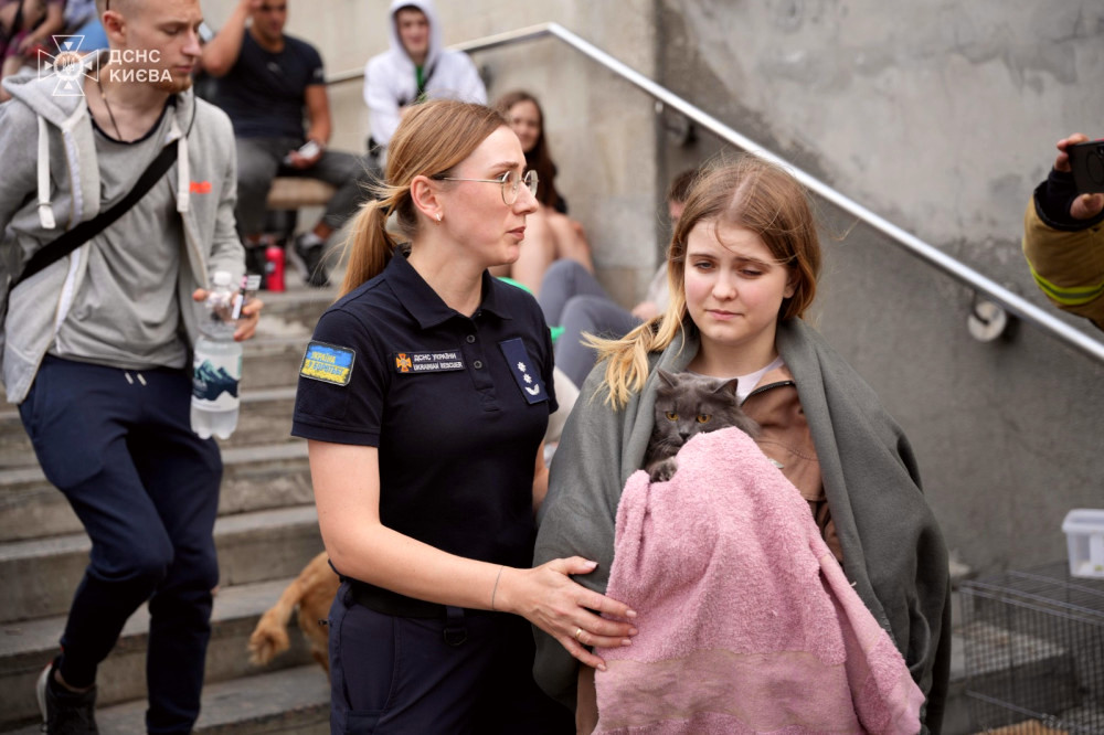 6511 image for slide