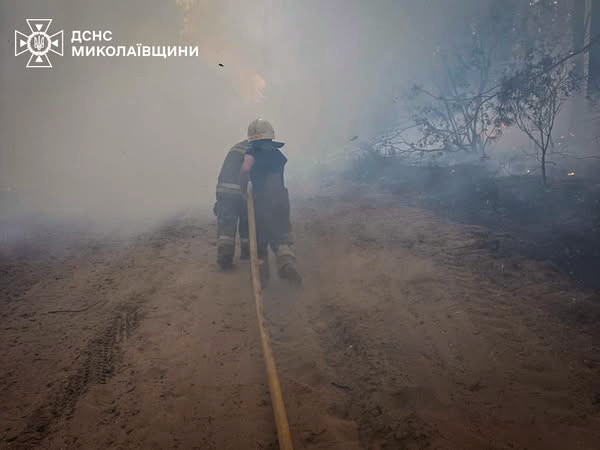 7161 image for slide