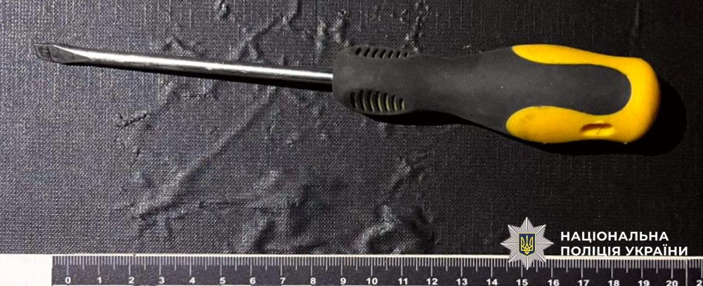 7261 image for slide