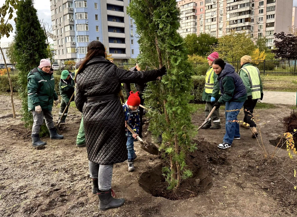 9100 image for slide