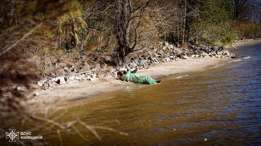 9511 image for slide